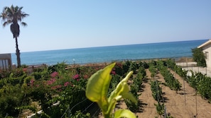 Property grounds - Villa Sara, an air-conditioned veranda overlooking the sea. (Marina di Modica)