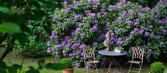 Holiday house Juliane - a wonderful view into the Palatinate Forest