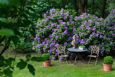 Casa de vacaciones Juliane: una vista maravillosa del bosque del Palatinado