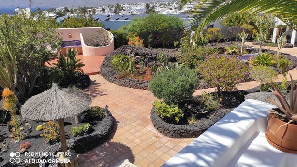 A rooftop garden with various plants and a view of the city and mountains in the background.