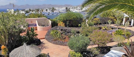 A rooftop garden with various plants and a view of the city and mountains in the background.