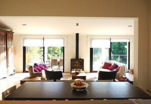 TV connectée, cheminée, lecteur de DVD, table de tennis de table