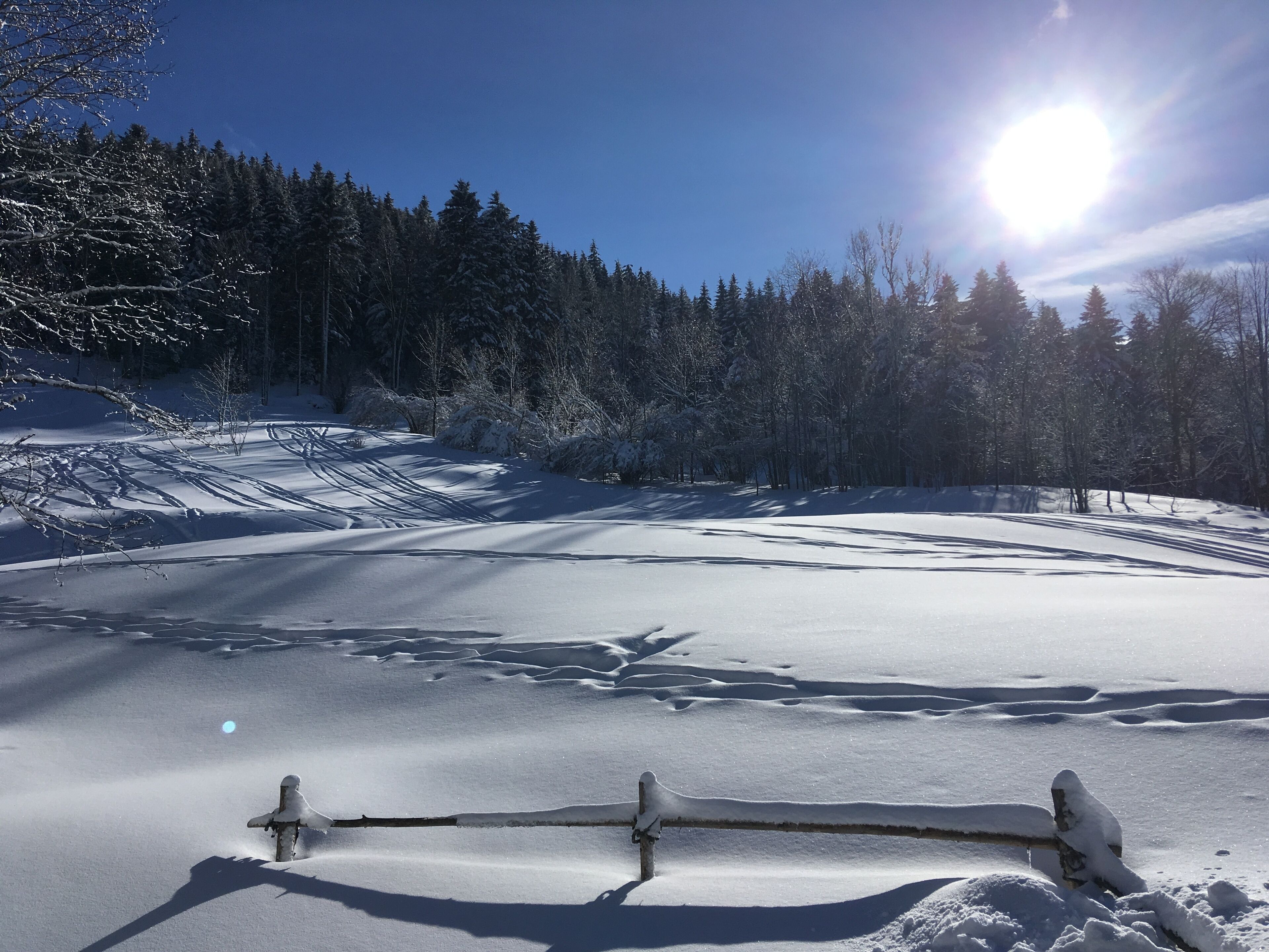 A snow-covered landscape with a clear sky and a bright sun.