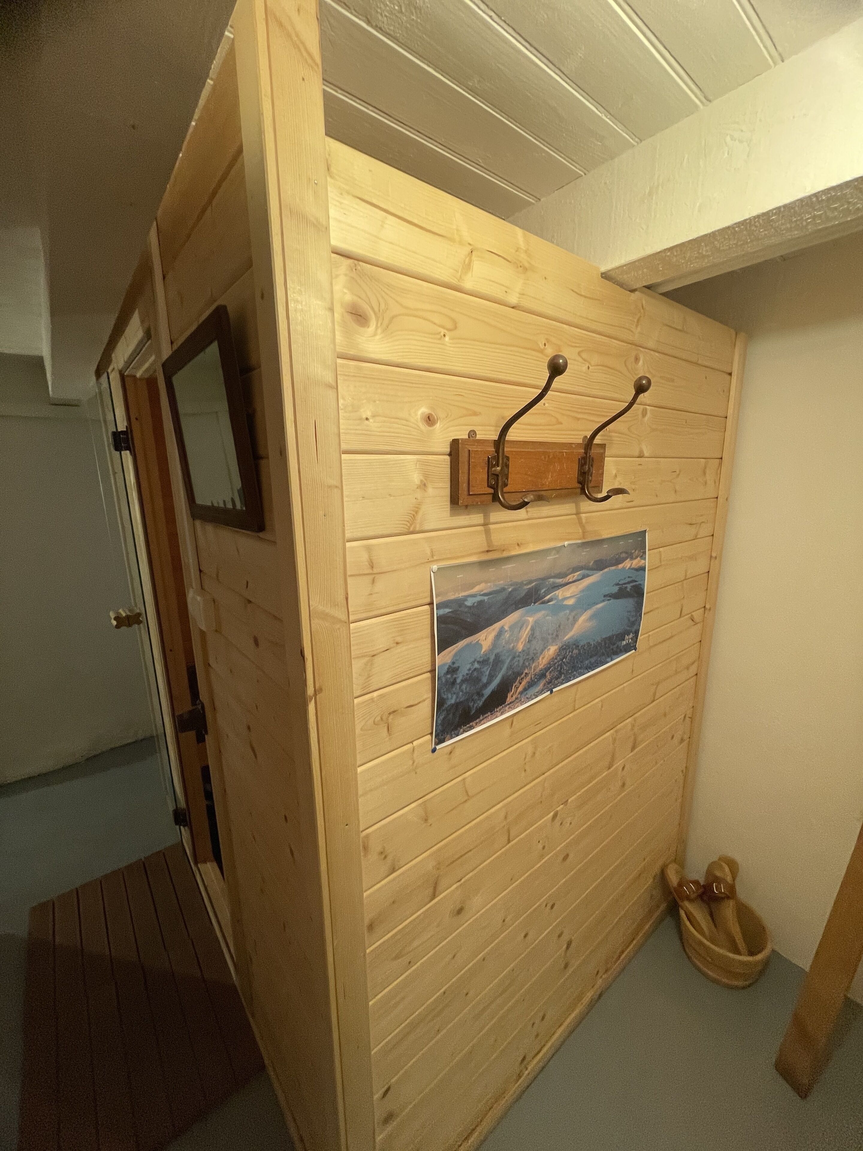A wooden wall with a mounted picture, a coat rack, and a door with a mirror.