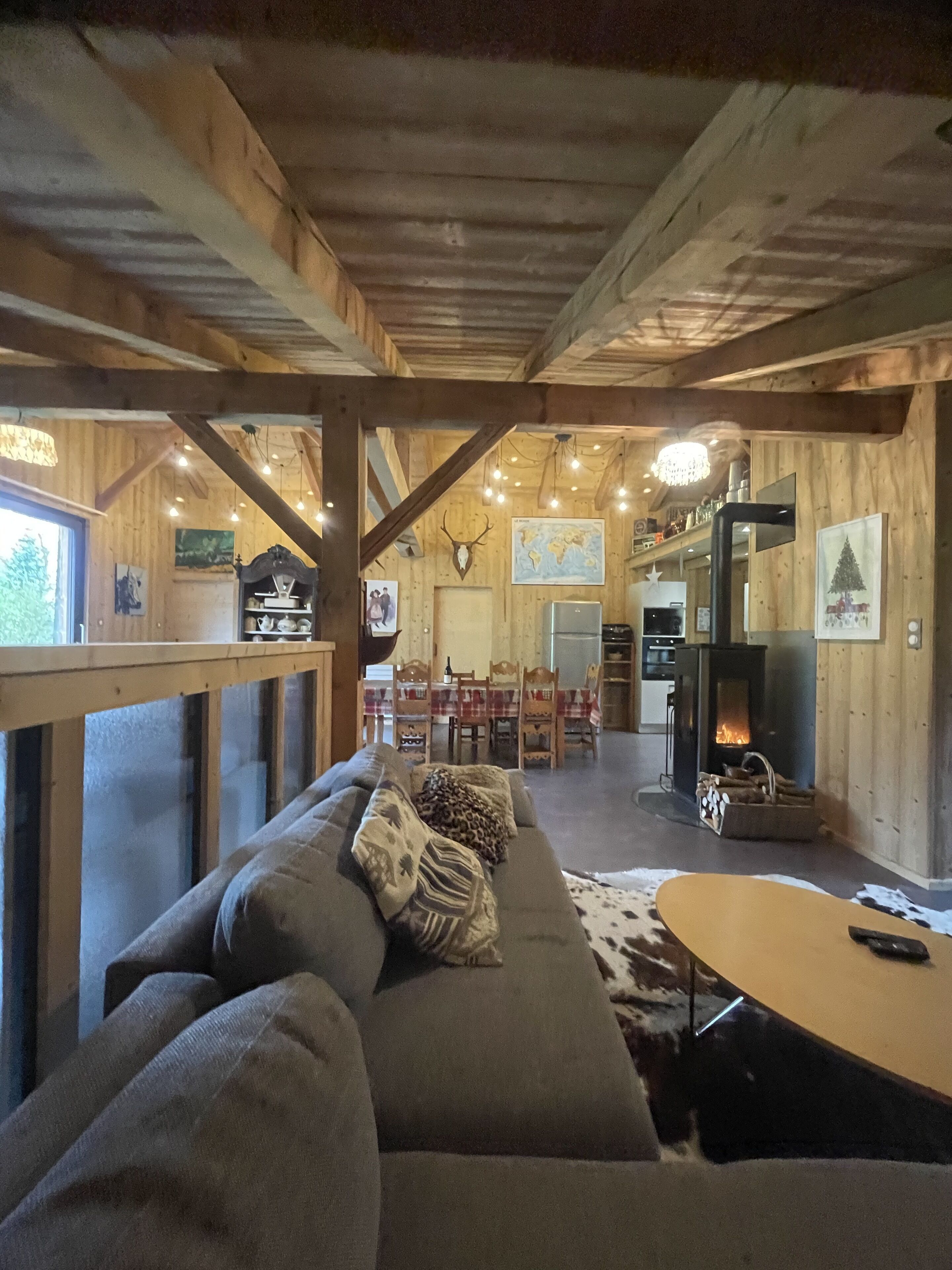 电视、壁炉、DVD 播放器、书