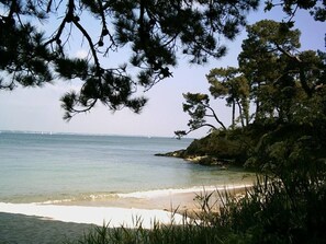 A beach with clear water, sandy shore, and pine trees. - Pleasant house, special reduction for stays of more than a week in june (Fouesnant)