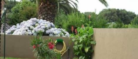 A garden with a variety of plants and flowers, a palm tree, and a stone wall.
