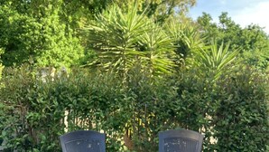 Two black wicker chairs with a small round table in between, placed on a tiled patio with a view of lush green trees and shrubs.