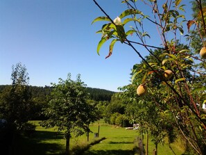 Ulkoalueet