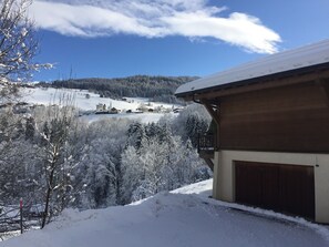 Exterior - Huge Chalet in Combloux, sleeps up to 14, 5mins access to huge Evasion ski area. (Combloux)