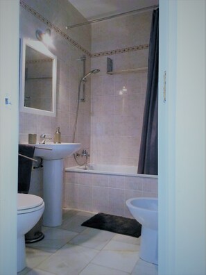 Combined shower/tub, hair dryer, bidet, towels