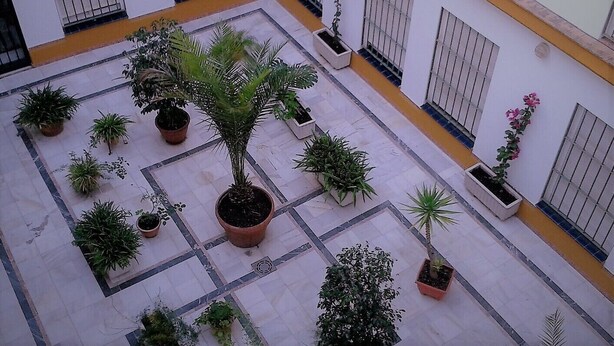 A courtyard with potted plants and a tiled floor.
