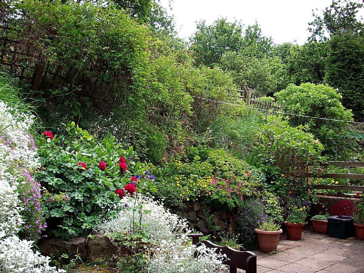 A garden with various plants and flowers, a stone wall, and a wooden fence.