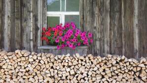 Un edificio rústico de madera con ventana y una maceta con flores rosas.