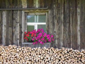 Exterior detail - Beautiful large apartment for your unforgettable stay in the Allgäu (Argenbühl-Christazhofen)
