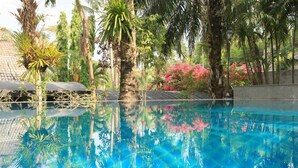 Una piscina con agua azul cristalina, rodeada de exuberante vegetación y palmeras.