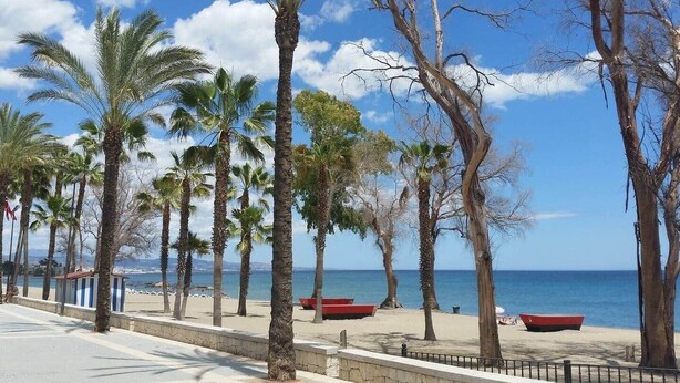 Ein Strand mit Palmen, sandigem Ufer und blauem Himmel.