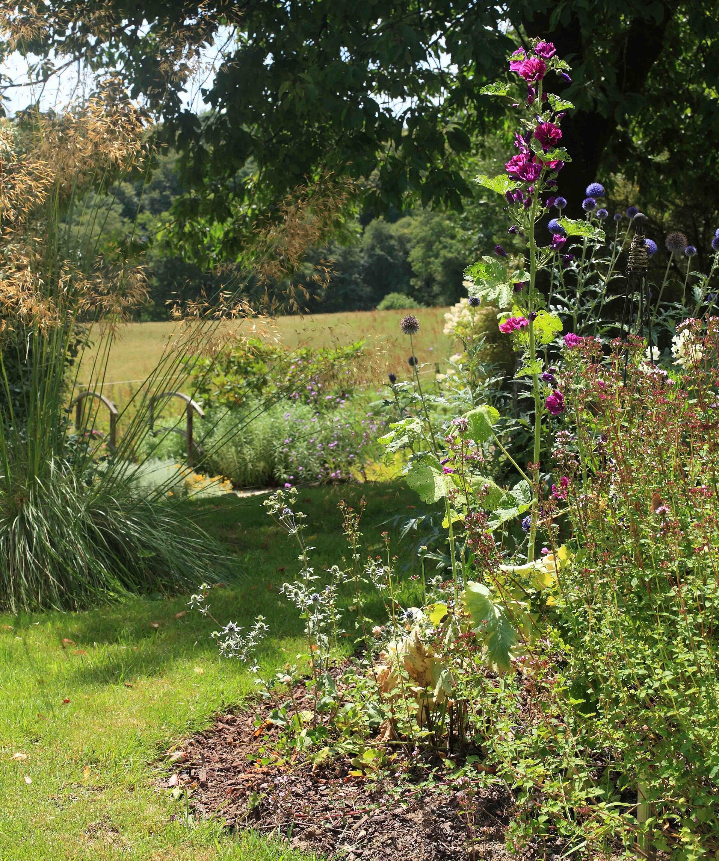 Ein Garten mit unterschiedlichen Pflanzen und Blumen, einer Rasenfläche und Bäumen im Hintergrund.