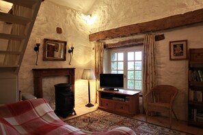 TV, fireplace, DVD player