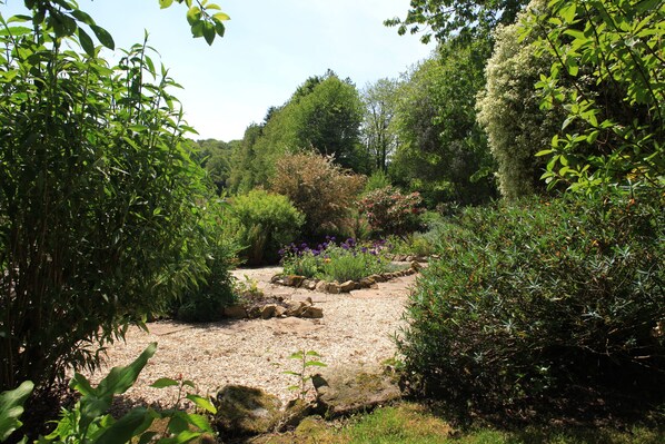 A garden pathway surrounded by dense foliage and various plants.