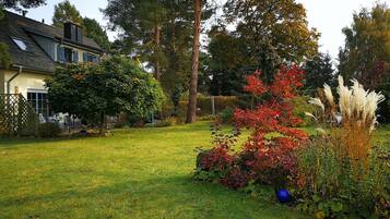 Un jardin résidentiel avec une maison, des arbres et diverses plantes.