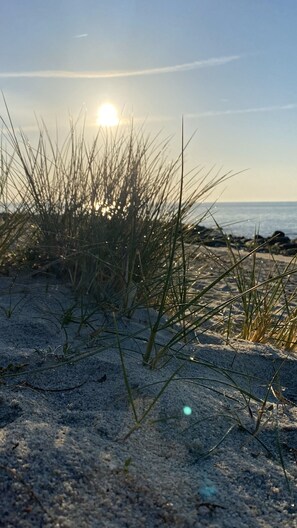 Vlak bij het strand