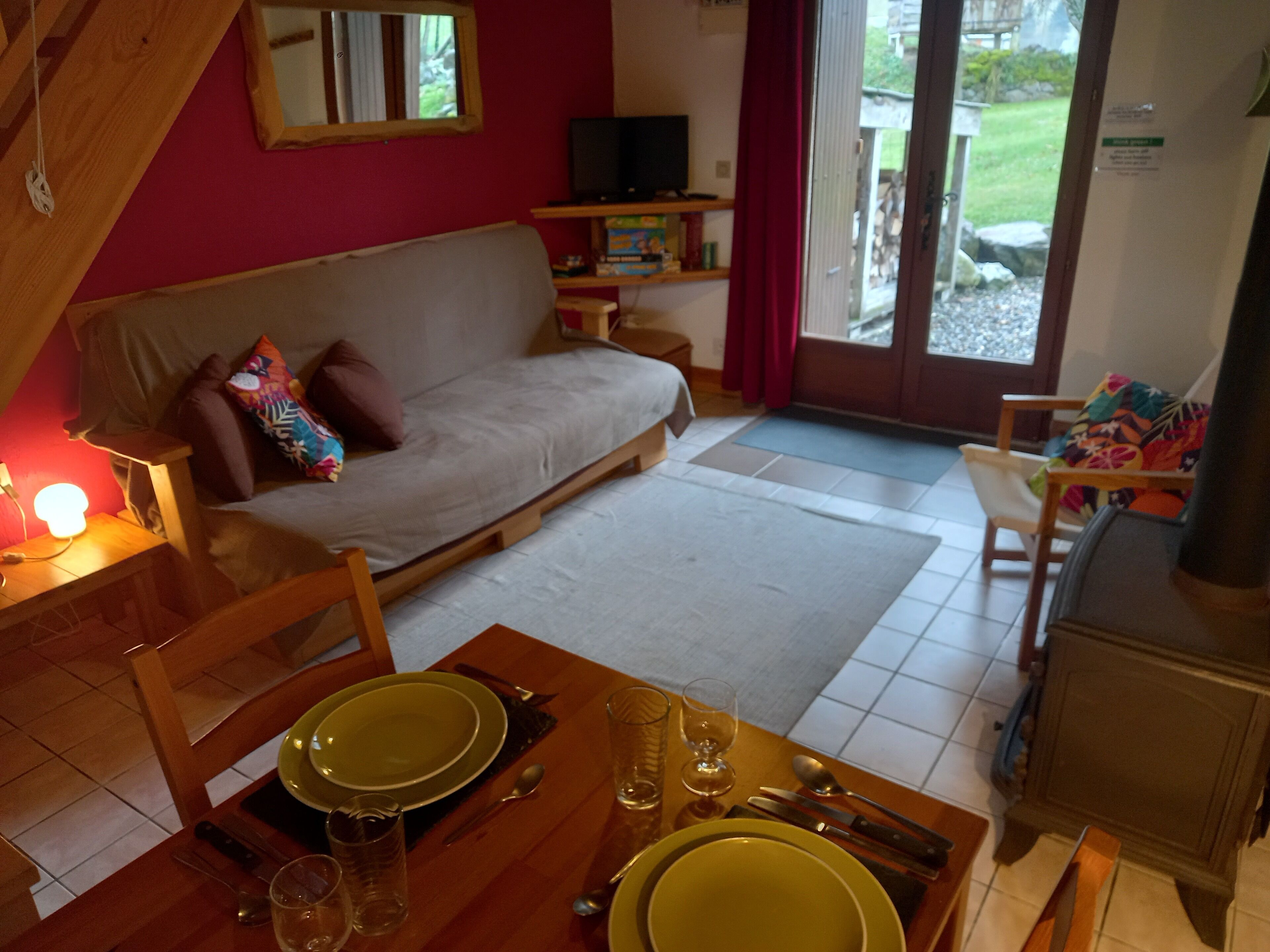 电视、壁炉、DVD 播放器、书