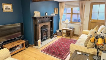 Smart TV, fireplace, DVD player, music library