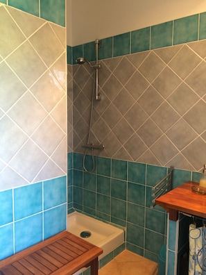 Regadera, secadora de cabello, papel de baño