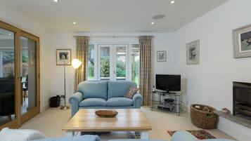 Smart TV, fireplace, DVD player, ping pong