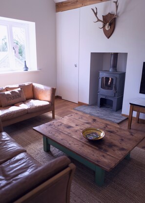 TV, fireplace, DVD player, ping pong