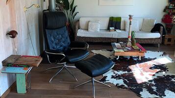 TV connectée, cheminée, livres, chaîne hi-fi