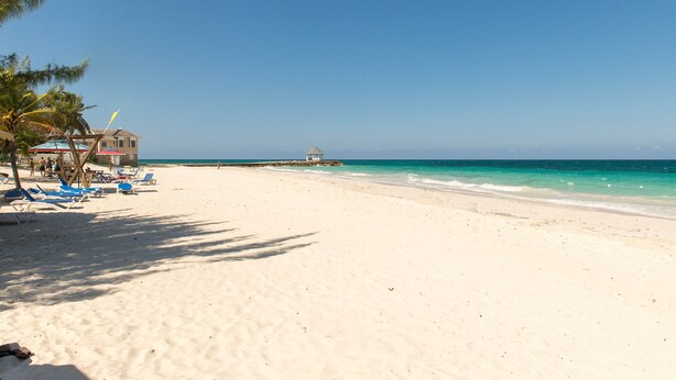 A beach with white sand, clear blue water, and a few palm trees. There are blue lounge chairs and a small building in the background. - The beautuful Butterfly Villa situated in the exclusive Silver Sands estate (Duncans)