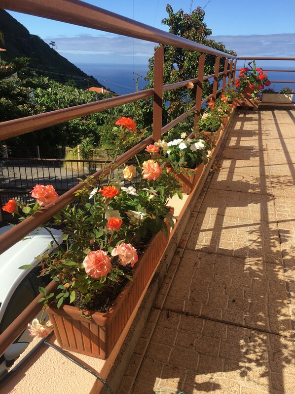 A balcony with a railing, potted plants with flowers, and a view of the sea.
