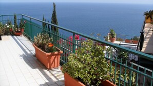 A balcony with potted plants and a view of the sea.