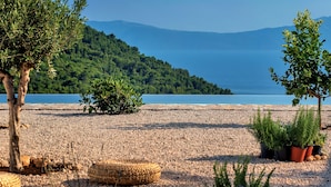 Ein Kiesstrand mit Bäumen und Topfpflanzen.