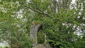 A stone wall with a narrow arched window and a small flower box at its base. - A very special place (Co. Cork)