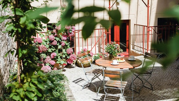 Une cour avec une table ronde en bois et des chaises en métal, entourée de plantes et de fleurs en pot.