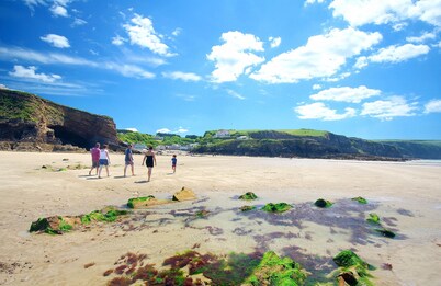 Architect Designed Eco House In A Secluded Littlehaven Private Lane