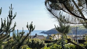 A coastal landscape with pine trees and a view of the sea.
