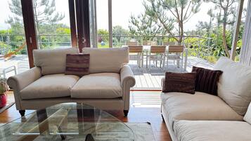 Älytelevisio, takka, kirjoja, musiikkikirjasto