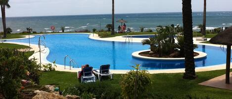 Una piscina de borde curvo, rodeada de palmeras y vista al océano.