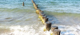 calm gel. Thatched roof f. 7 adults / 6 adults + 2 children Sauna, fireplace, WiFi, garden / fence