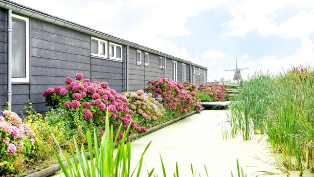 A building with a garden pathway lined with pink flowers and green plants. - Luxury Group accommodation in a rural area with its own outdoor area. (Rijpwetering)
