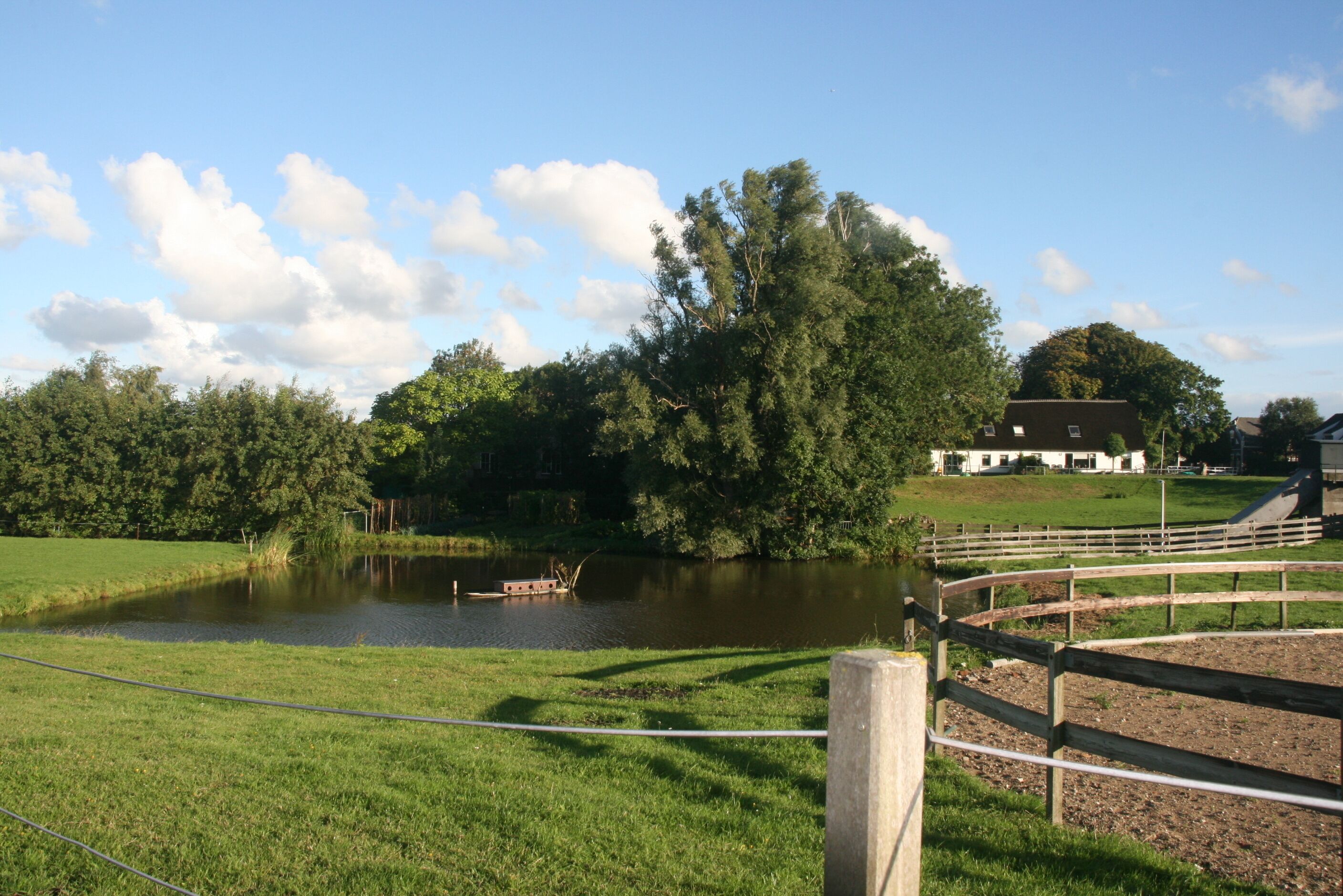 A serene lakeside view with a wooden fence, a boat dock, and a building in the background.