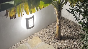 Una planta de plàtan en test amb una làmpada fixada a la paret.