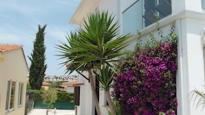 Una casa moderna amb façana blanca, un camí de pedra i una varietat de plantes, incloent una palmera i flors morades.