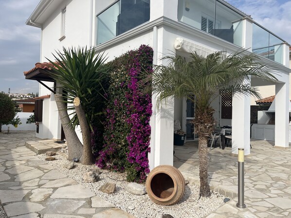 A modern house with a stone patio, a large planter with purple flowers, and a small palm tree.