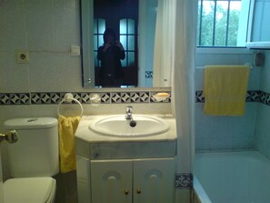 Combined shower/bathtub, hair dryer, bidet, towels