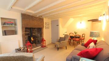 TV, fireplace, DVD player, books